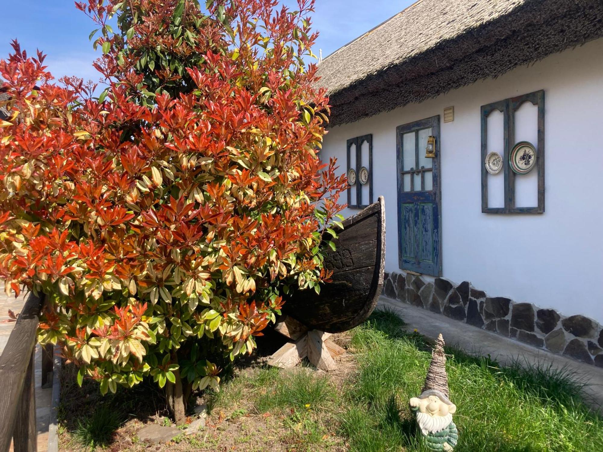 Casa Soarelui Hotel Murighiol Buitenkant foto